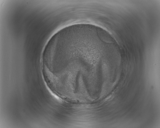 X0000068721519200605121439