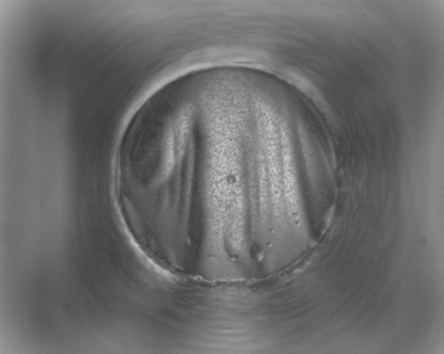 X0000068721520200605121439