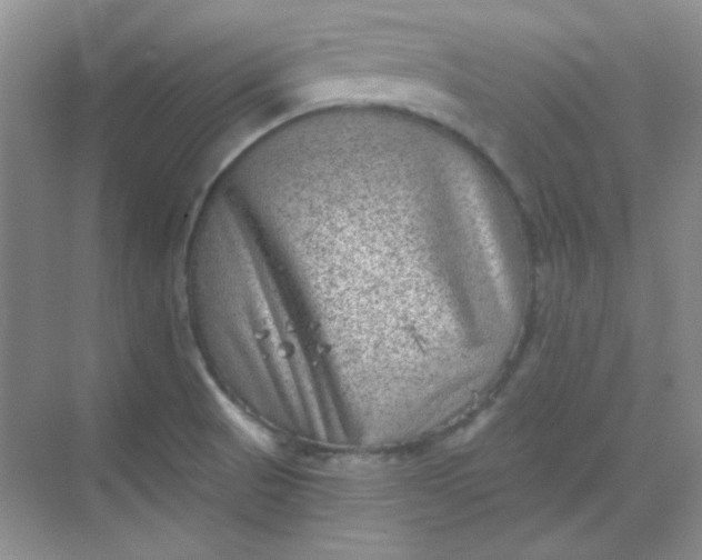 X0000068721521200605121439