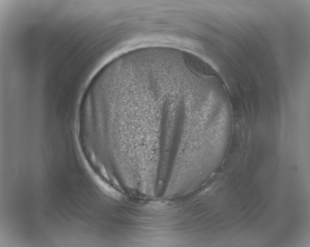 X0000068721523200605121439