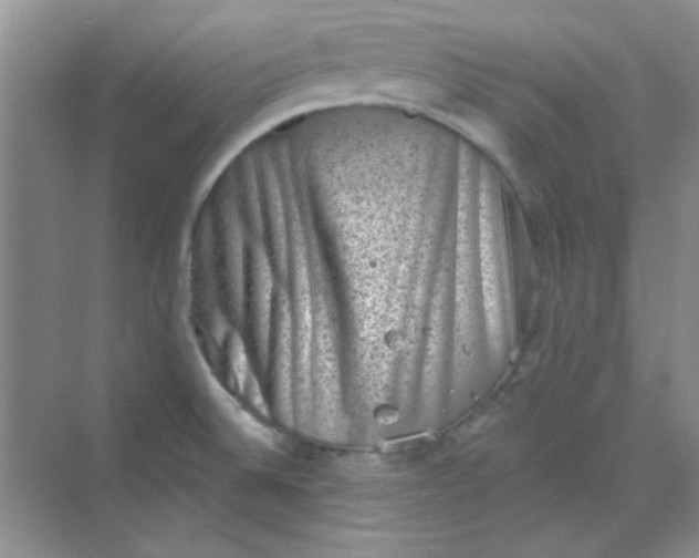 X0000068721524200605121439