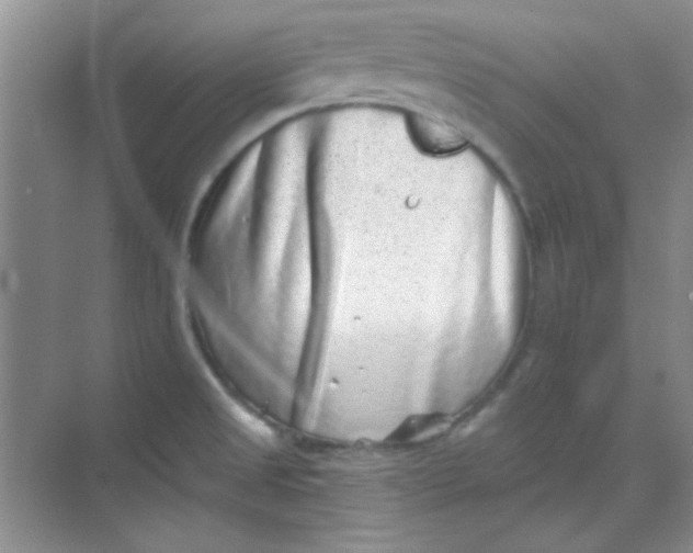 X0000068721525200605121439