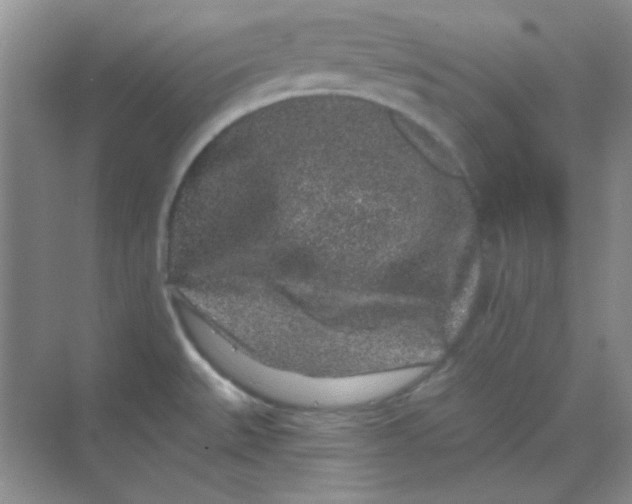 X0000068721527200605121439