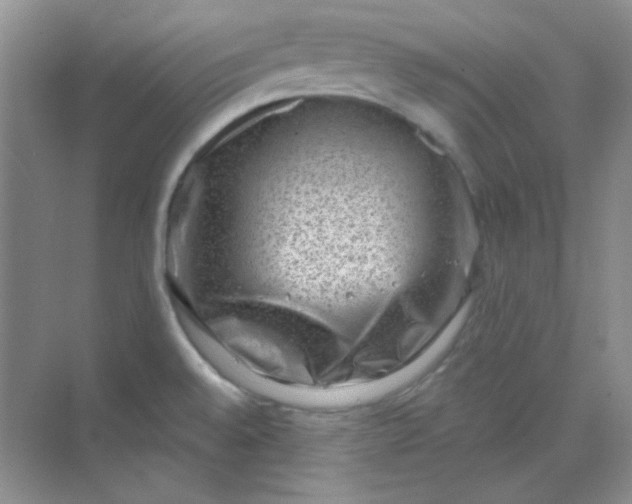 X0000068721528200605121439