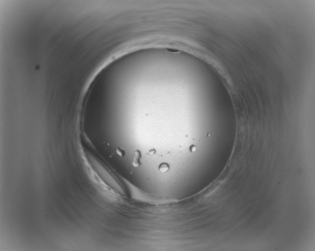 X0000068721530200605121439