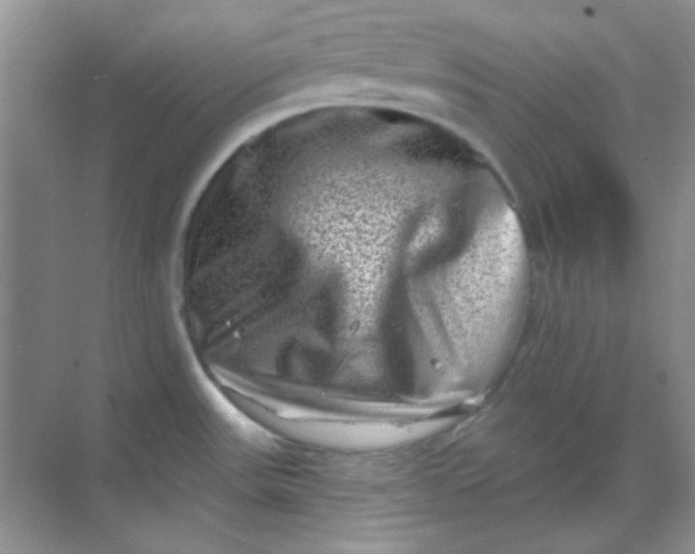 X0000068721531200605121439