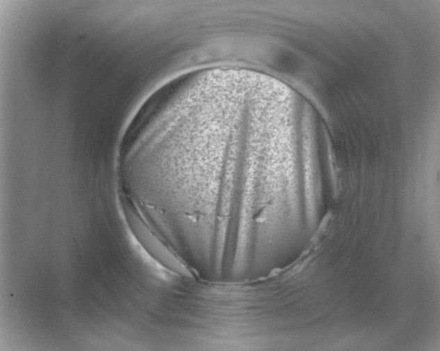 X0000068721532200605121439