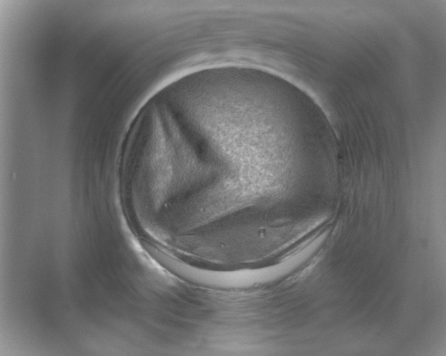 X0000068721534200605121439