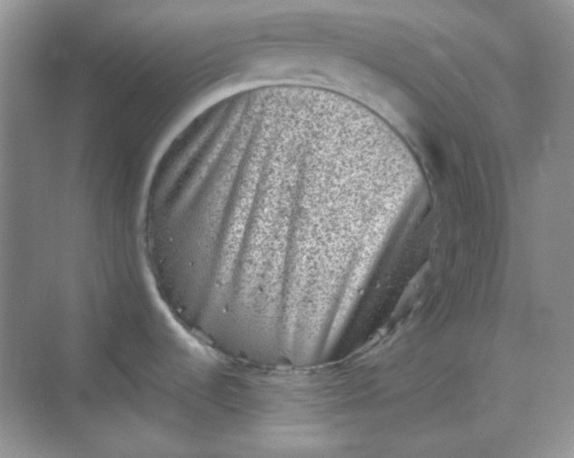 X0000068721536200605121439