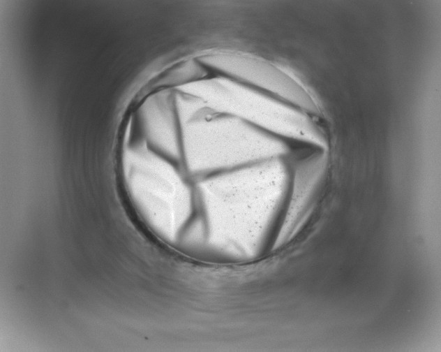 X0000068720007200605192305