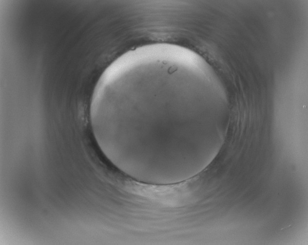 X0000068720031200605192305