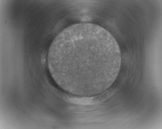 X0000068720032200605192305