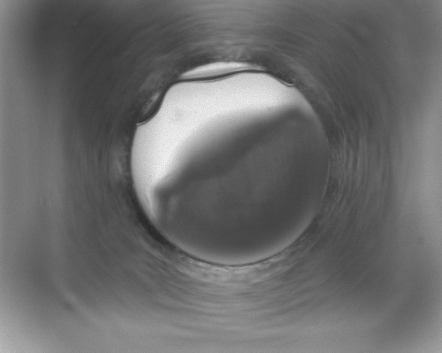 X0000068720035200605192305