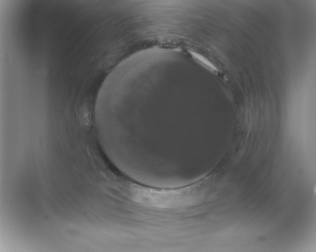 X0000068720039200605192304
