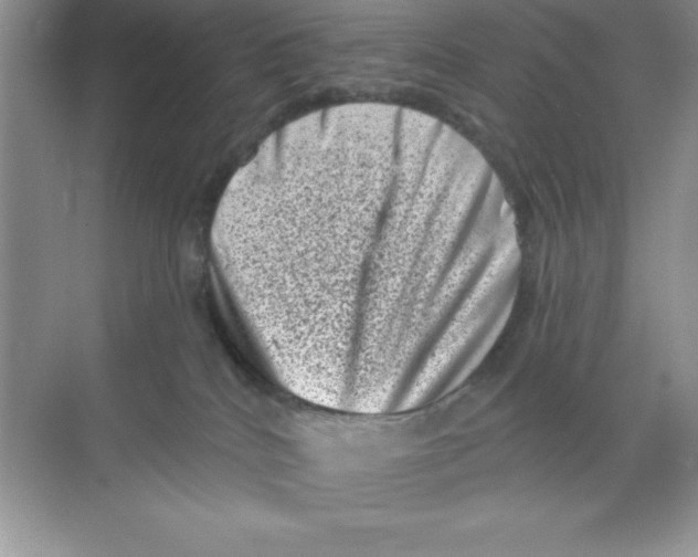 X0000068720040200605192304