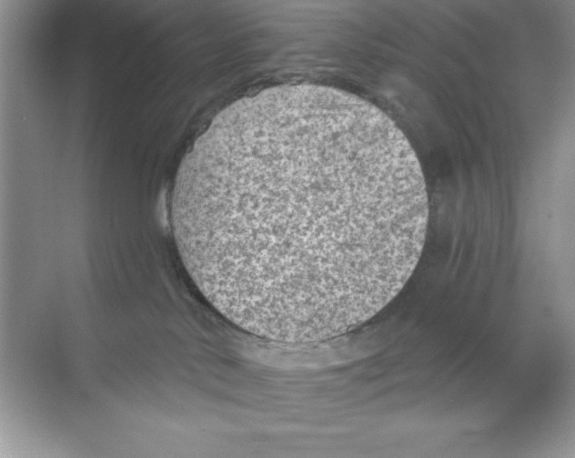 X0000068720042200605192304