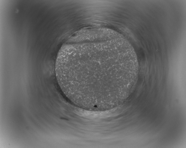 X0000068720043200605192304