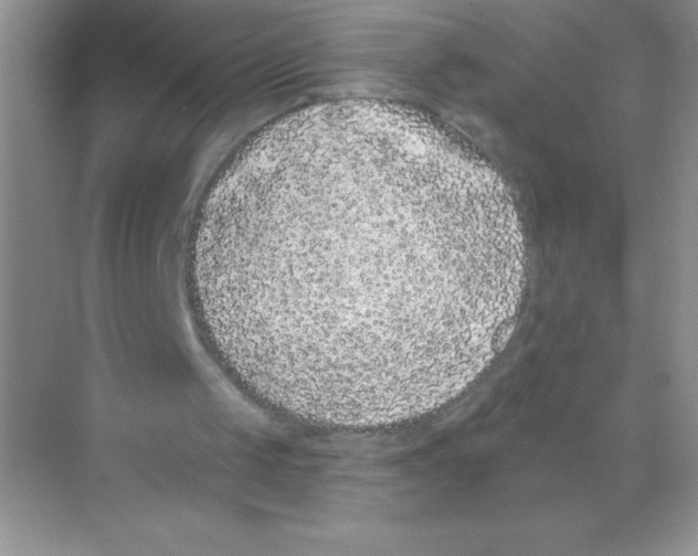 X0000068720049200605192304