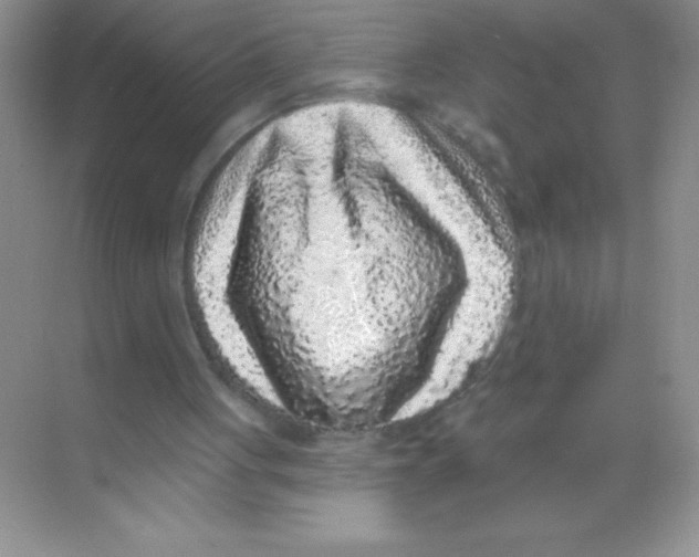X0000068720051200605192304