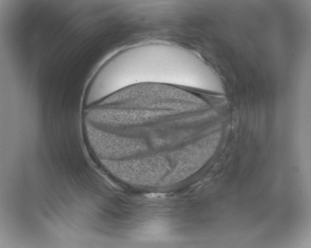 X0000068720052200605192304