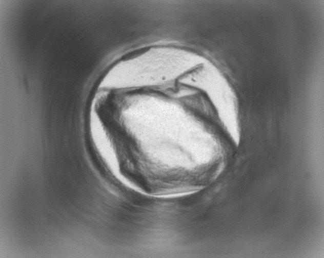 X0000068720055200605192304