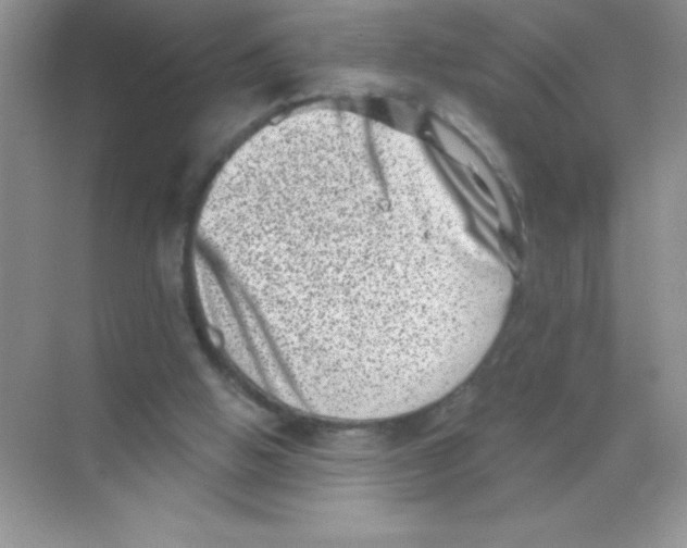 X0000068720058200605192304