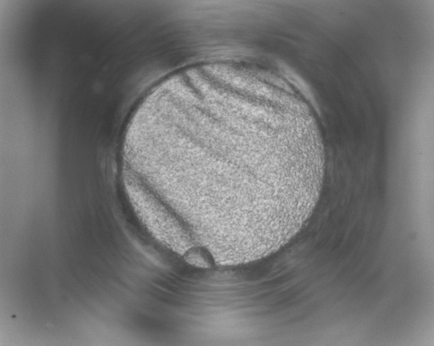 X0000068720059200605192304