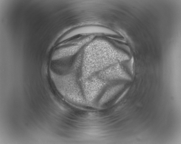 X0000068720060200605192304