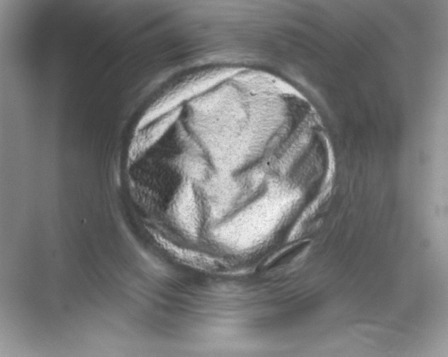 X0000068720062200605192304