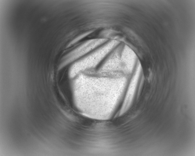 X0000068720072200605192304