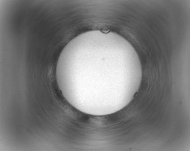 X0000068720079200605192304
