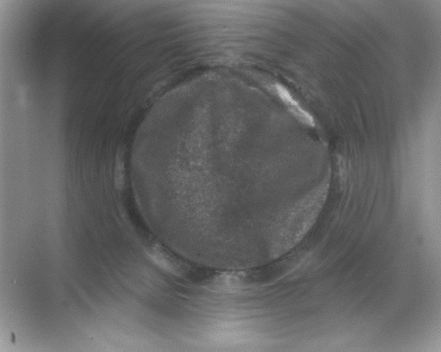 X0000068720080200605192304