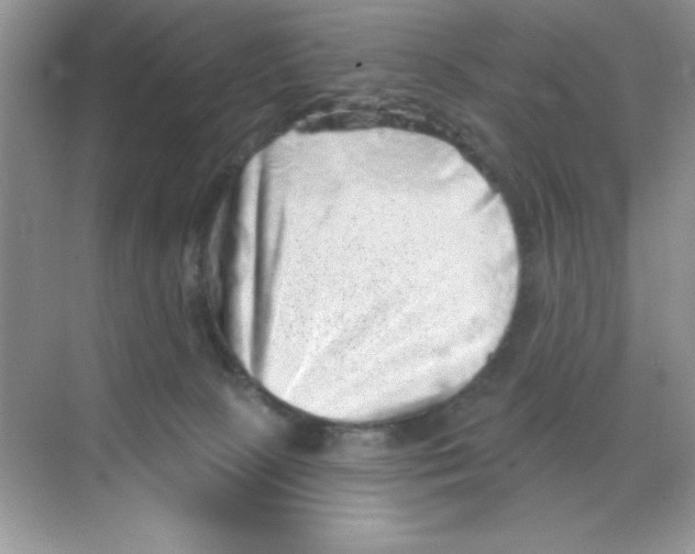 X0000068720081200605192304