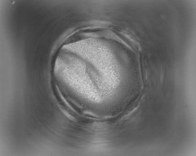 X0000068720101200605192303