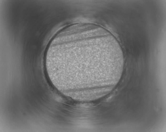 X0000068720103200605192303