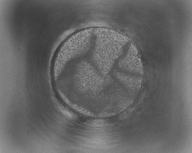 X0000068720104200605192303