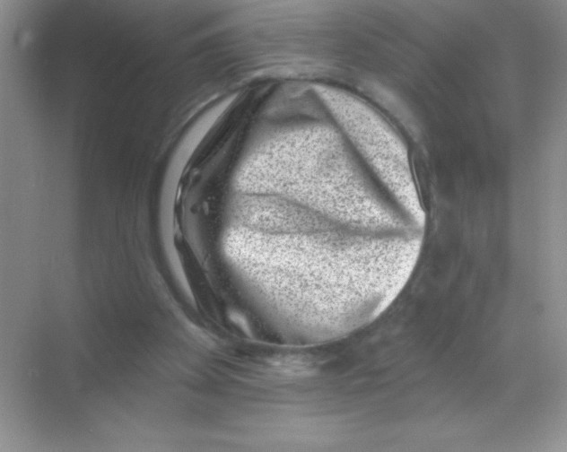X0000068720105200605192303