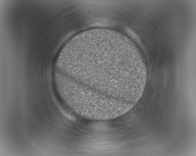 X0000068720106200605192303