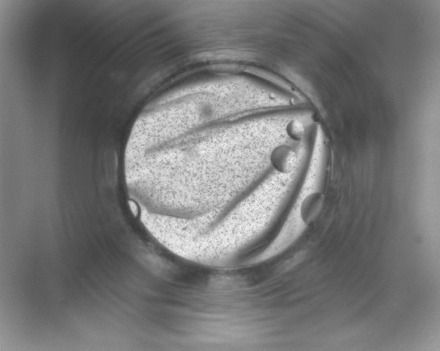 X0000068720109200605192303