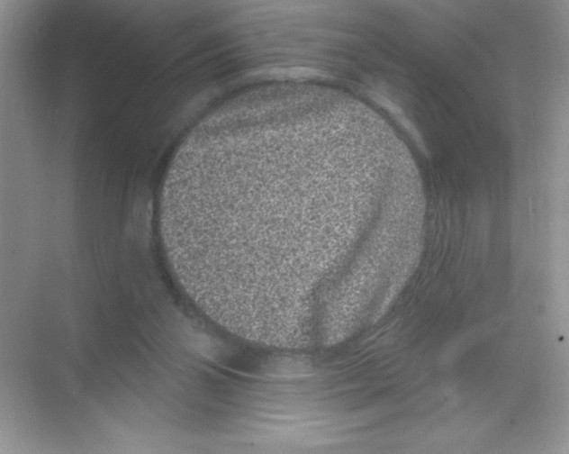 X0000068720110200605192303