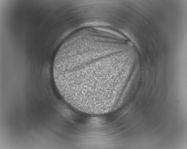 X0000068720111200605192303