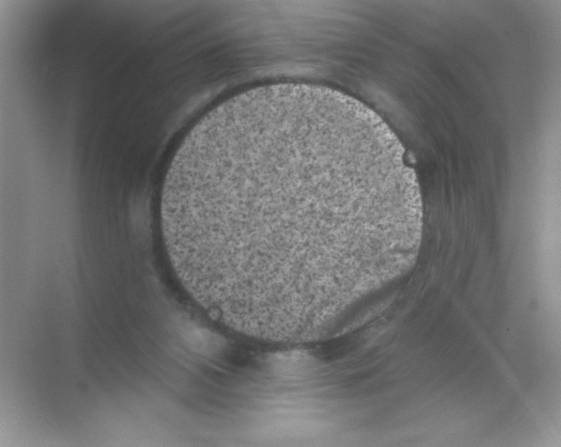 X0000068720112200605192303