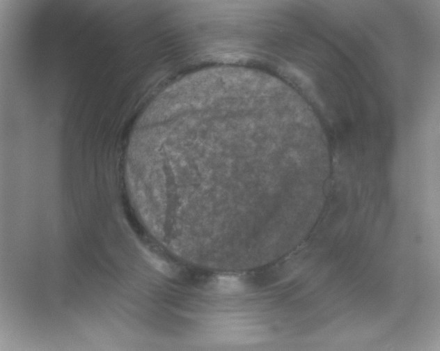 X0000068720114200605192303