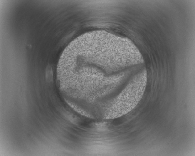 X0000068720120200605192303