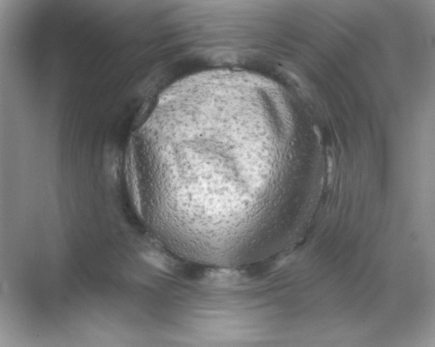 X0000068720125200605192303