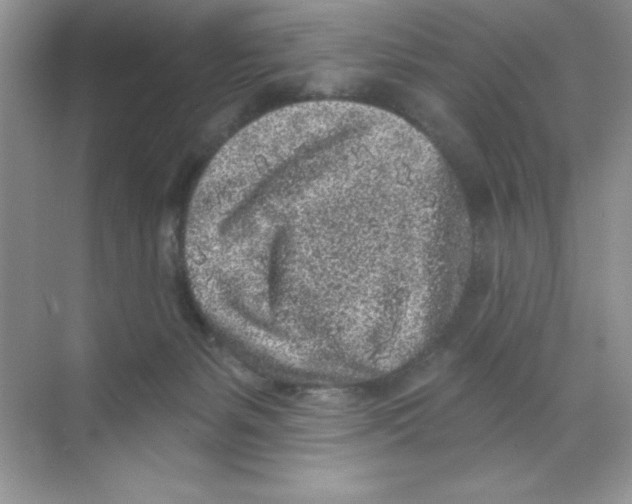 X0000068720127200605192303