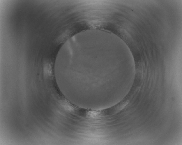 X0000068720139200605192303