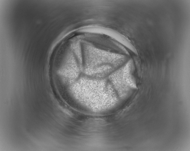 X0000068720150200605192302