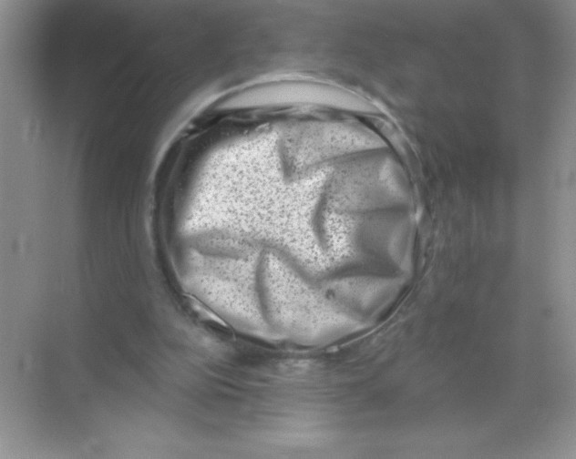 X0000068720152200605192302