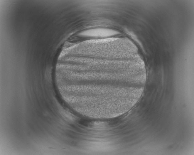 X0000068720154200605192302